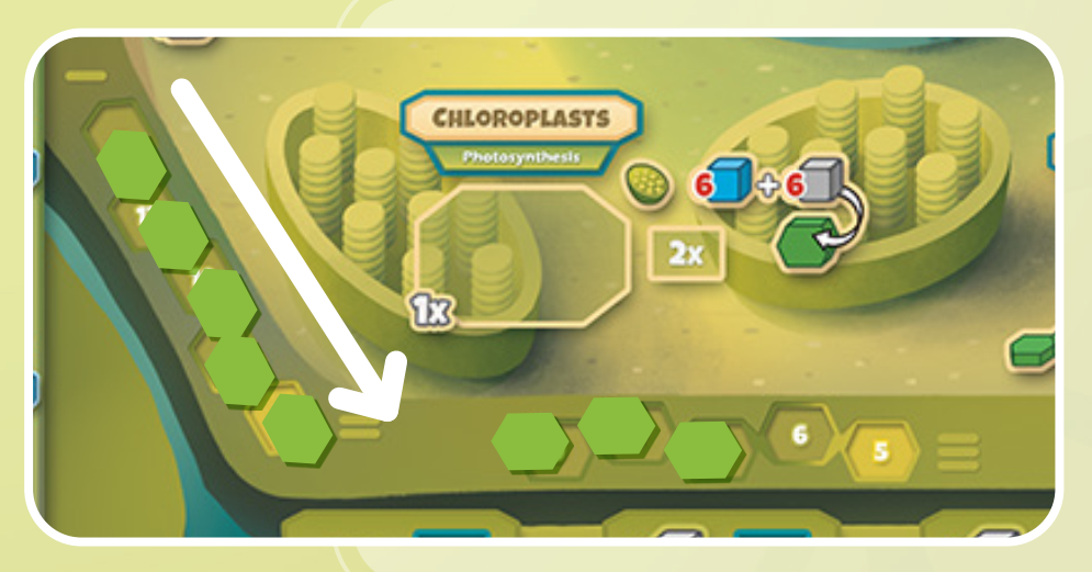 桌遊 Cellulose-07