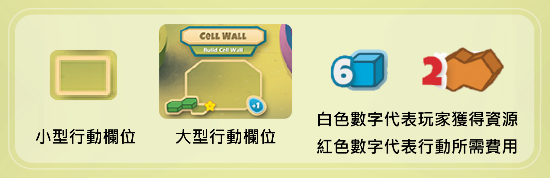 桌遊 Cellulose